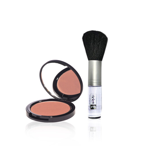 Secret Santa Pro Colour 5 Diva and Powder Brush